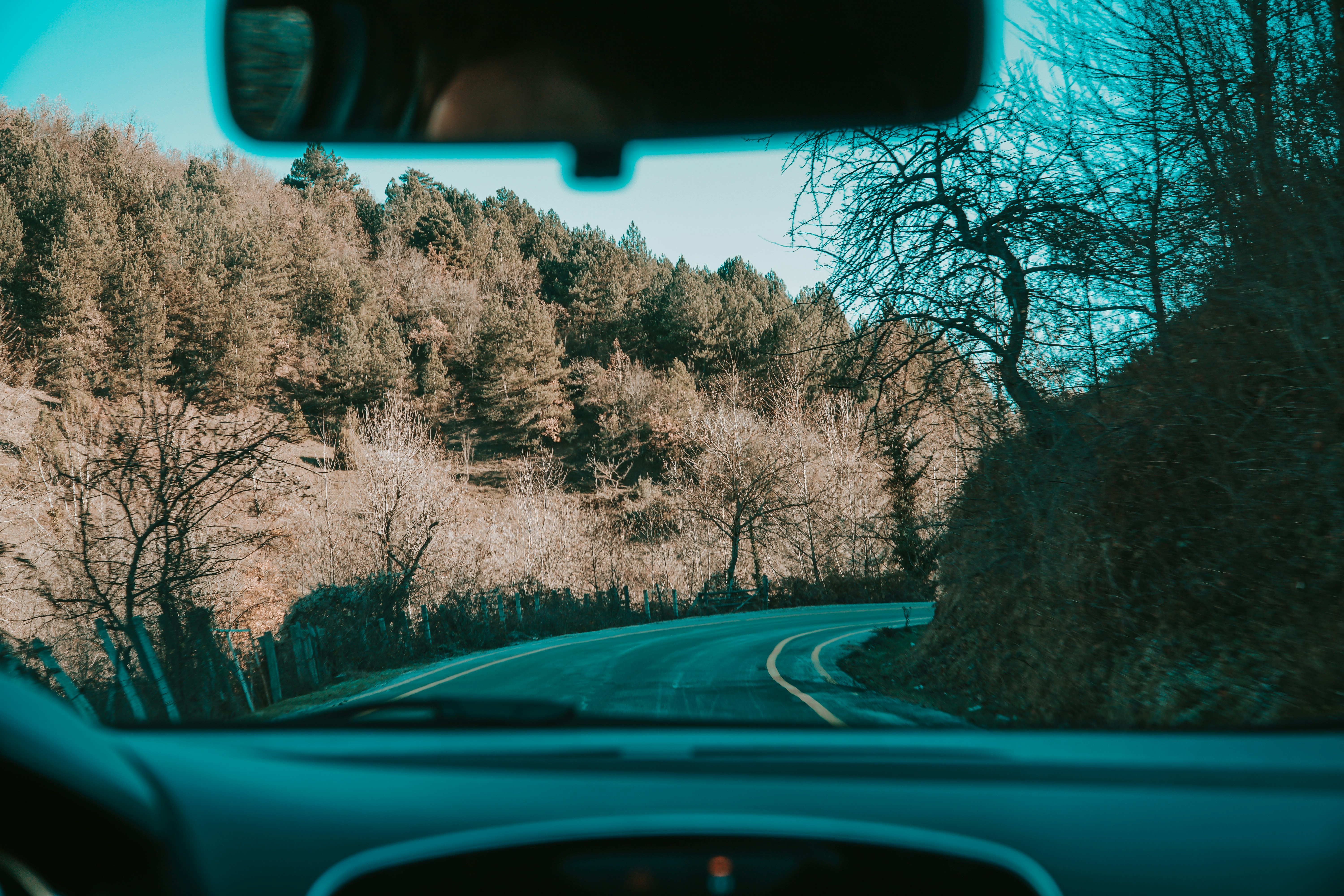 car on road between trees during daytime